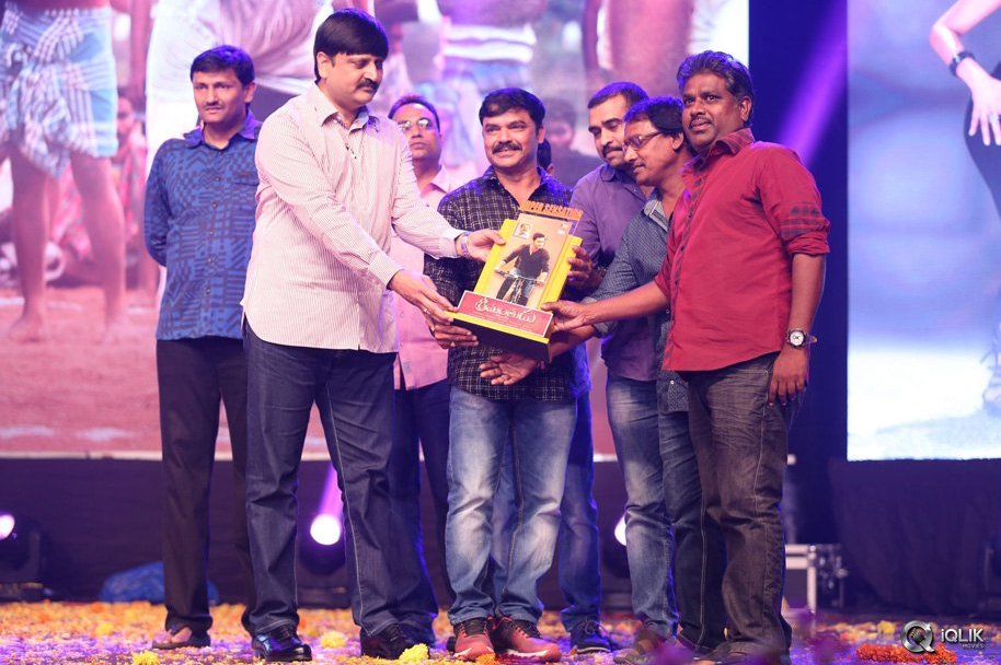 Srimanthudu-Movie-Thank-You-Function